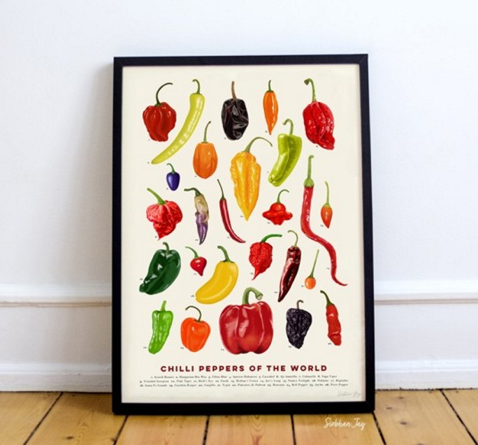 Chilli Peppers of the World - Print
